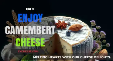 Savoring Camembert: Tips to Perfectly Enjoy This Creamy French Cheese