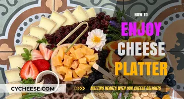 Mastering the Art of Savoring a Perfect Cheese Platter