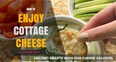 Delicious Ways to Savor Cottage Cheese: Creative and Tasty Ideas