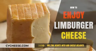 Savoring the Bold Flavor: A Guide to Enjoying Limburger Cheese