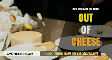 Savor Every Bite: Mastering the Art of Cheese Enjoyment