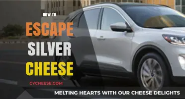 Escape Silver Cheese: Proven Strategies to Break Free and Thrive