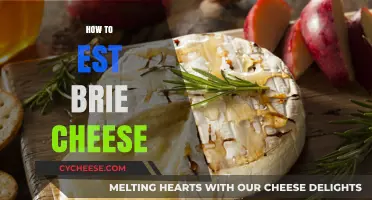 Mastering Brie: A Step-by-Step Guide to Perfectly Aged Cheese