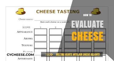 Mastering Cheese Evaluation: A Guide to Texture, Aroma, and Flavor