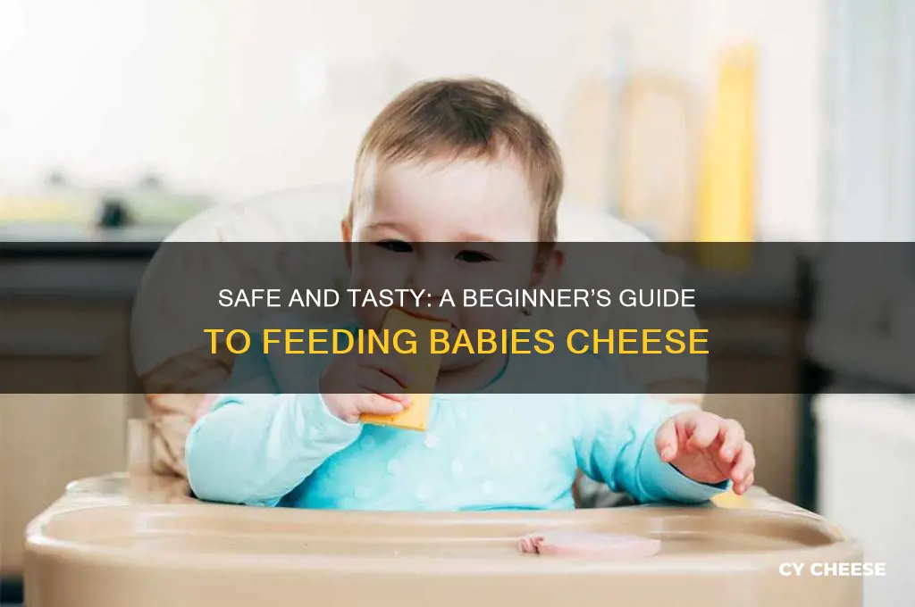 how to feed babies cheese