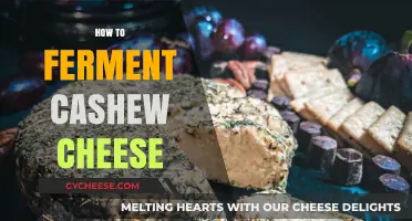 Mastering Fermented Cashew Cheese: Simple Steps for Creamy, Tangy Results