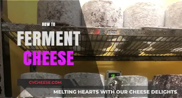Mastering Cheese Fermentation: A Step-by-Step Guide to Homemade Cheese