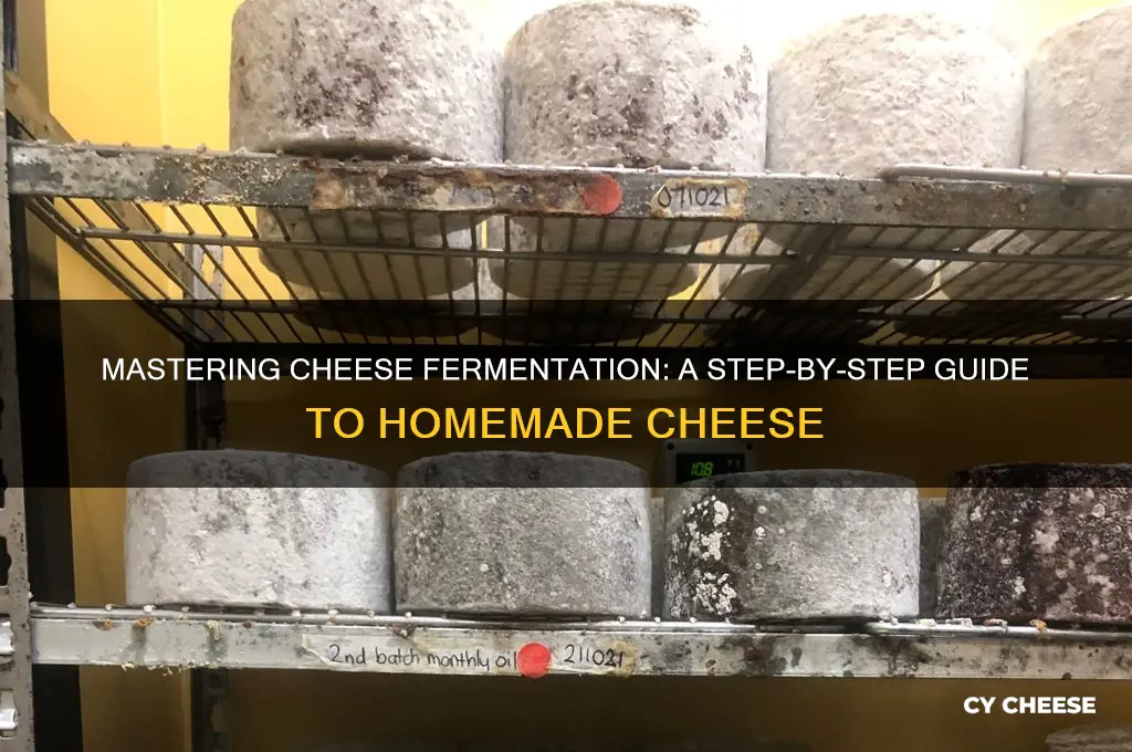 how to ferment cheese