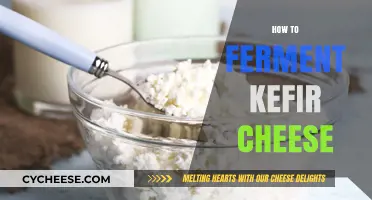 Mastering Homemade Kefir Cheese: Simple Fermentation Steps for Creamy Delight