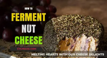 Mastering Fermented Nut Cheese: Simple Steps for Creamy, Vegan Goodness