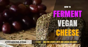 Mastering Vegan Cheese Fermentation: Simple Steps for Creamy, Dairy-Free Delights