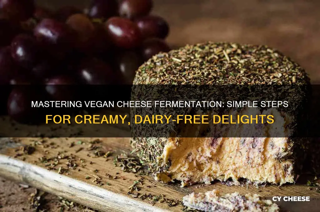 how to ferment vegan cheese