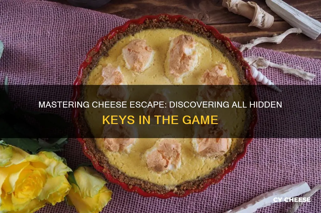 how to find all the keys in cheese escape