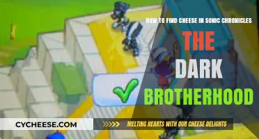 Finding Cheese in Sonic Chronicles: The Dark Brotherhood Guide