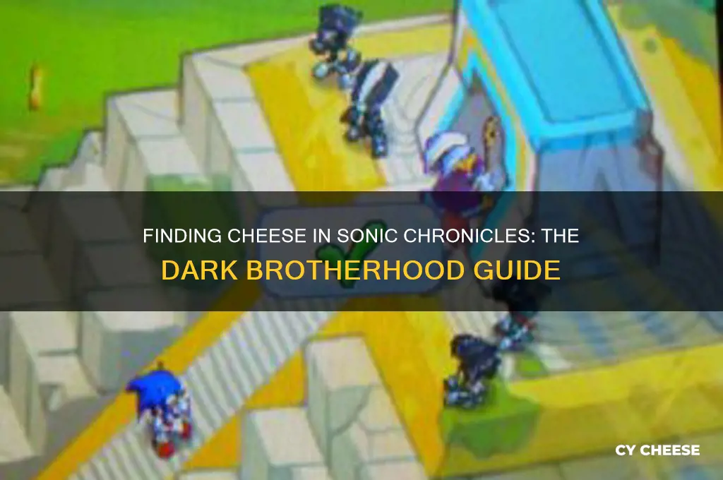 how to find cheese in sonic chronicles the dark brotherhood