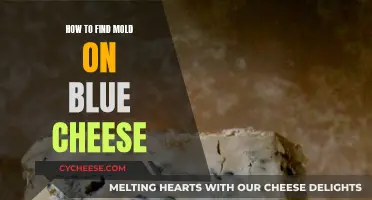 Finding Mold in Blue Cheese: A Step-by-Step Guide