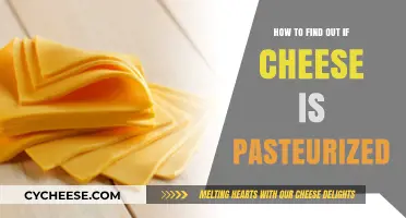 Is Your Cheese Pasteurized? Quick Tips to Check and Stay Safe