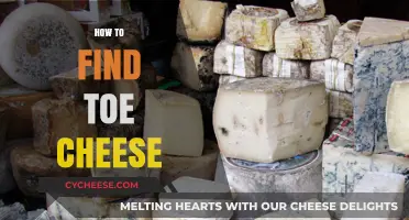 Discovering Toe Cheese: A Guide to Finding This Unique Delicacy