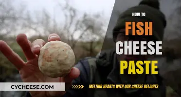 Mastering Cheese Paste Fishing: Tips, Techniques, and Proven Strategies