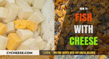 Cheesy Catch: Mastering the Art of Fishing with Cheese Bait