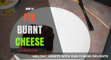 Rescue Your Burnt Cheese: Quick Fixes and Prevention Tips