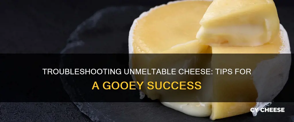how to fix cheese that won