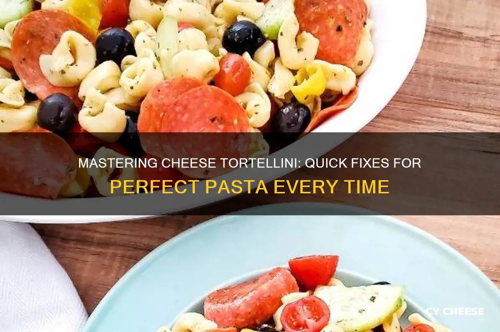 how to fix cheese tortellini