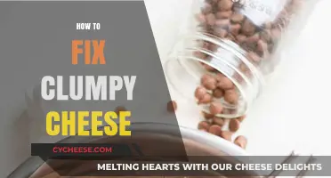 Smooth and Creamy Again: Quick Fixes for Clumpy Cheese