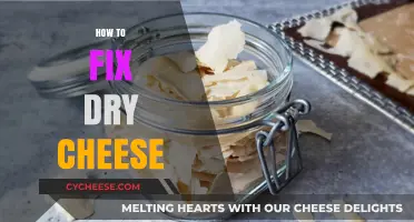 Revive Your Dry Cheese: Simple Tips for Perfect Texture and Flavor