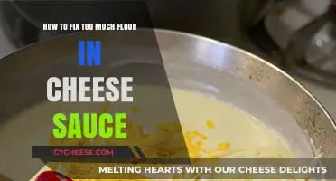 Rescue Your Cheese Sauce: Quick Fix for Excess Flour Mishaps