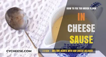 Rescue Your Cheese Sauce: Quick Fixes for Excess Flour Mistakes