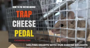 Fixing Victor Mouse Trap Cheese Pedal: A Step-by-Step Repair Guide