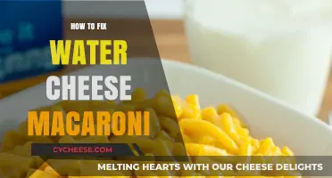 Macaroni Magic: Fixing Watery Cheese Sauce