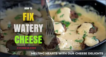 Fix Watery Cheese: Simple Solutions for Perfect Texture Every Time