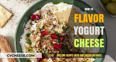 Delicious Yogurt Cheese: Creative Flavoring Tips and Easy Recipes
