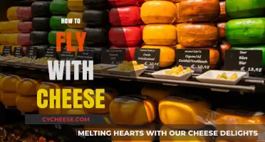 Mastering the Art of Traveling with Cheese: Tips for Safe Flights