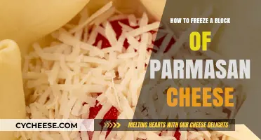 Master the Art of Freezing Parmesan Cheese for Long-Lasting Freshness