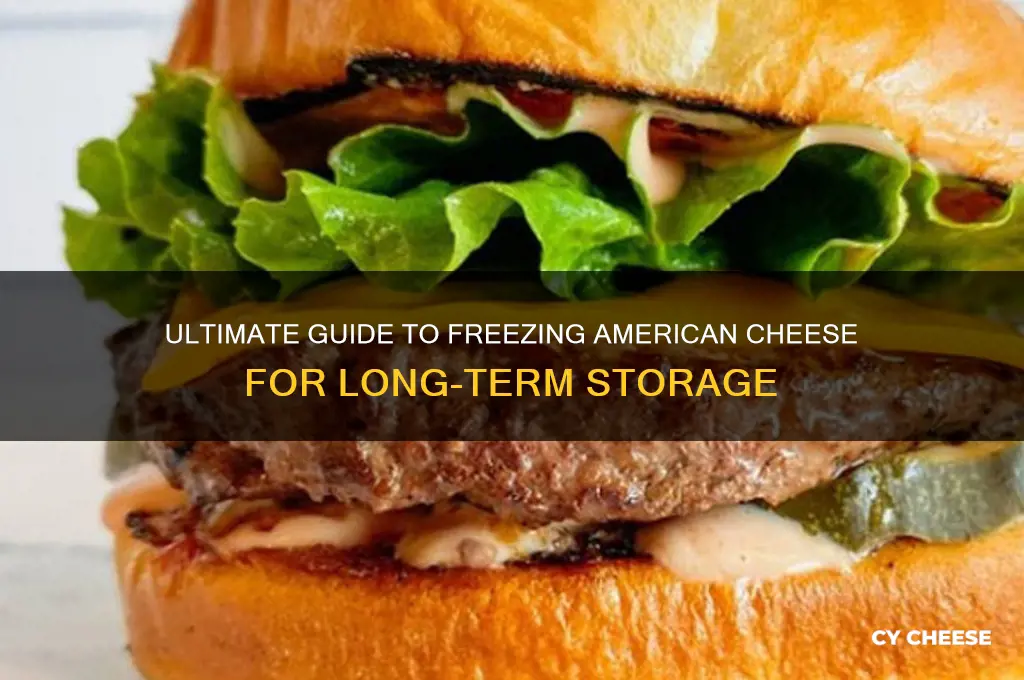 how to freeze american cheese for a year