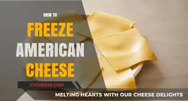 Mastering the Art of Freezing American Cheese: Tips and Tricks