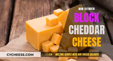 Master Freezing Cheddar: Tips for Long-Term Storage