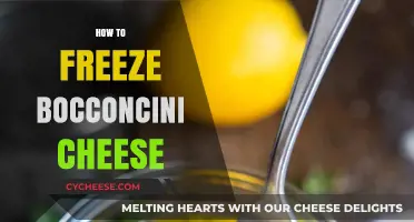 Mastering the Art of Freezing Bocconcini Cheese: Tips and Tricks