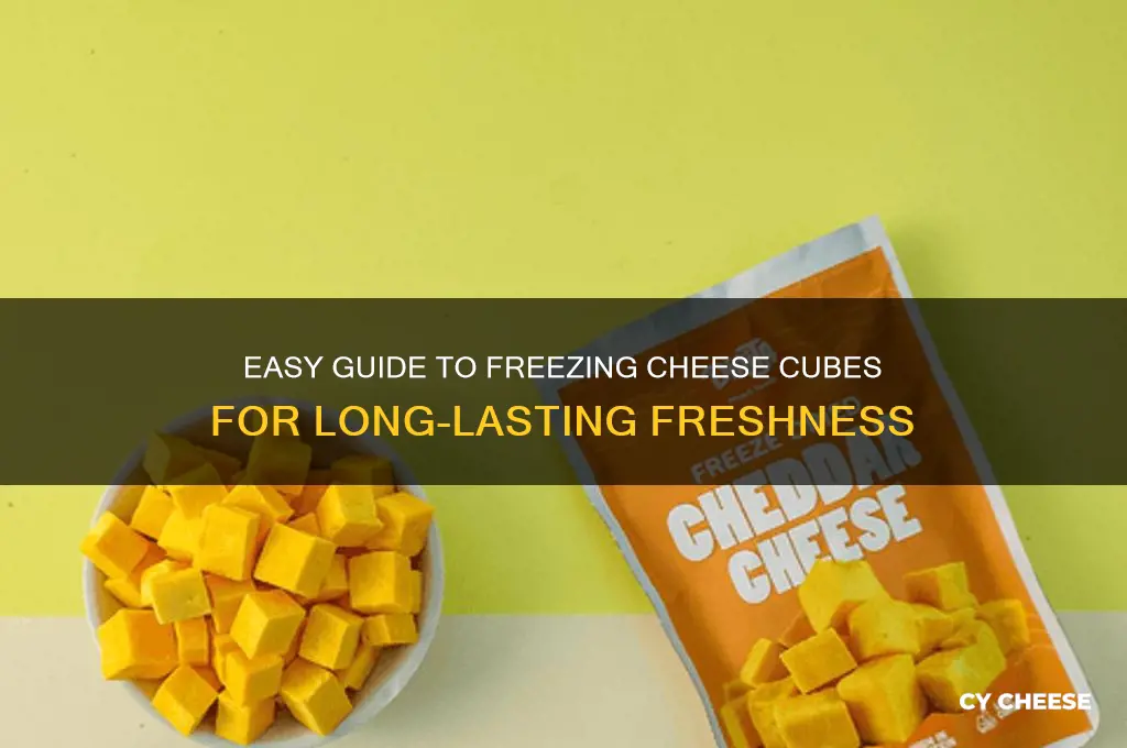 how to freeze cheese cubes