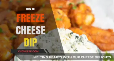 Master the Art of Freezing Cheese Dip for Perfect Preservation