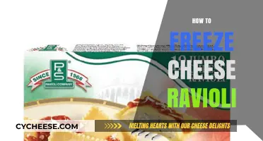 Mastering the Art of Freezing Cheese Ravioli for Perfect Meals