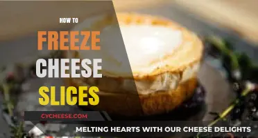 Master the Art of Freezing Cheese Slices for Longevity
