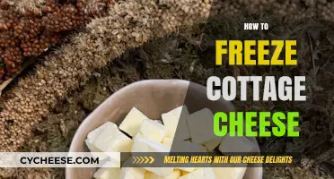 Master the Art of Freezing Cottage Cheese: A Simple Guide