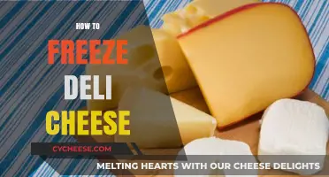 Mastering Cheese Storage: A Guide to Freezing Deli Cheese