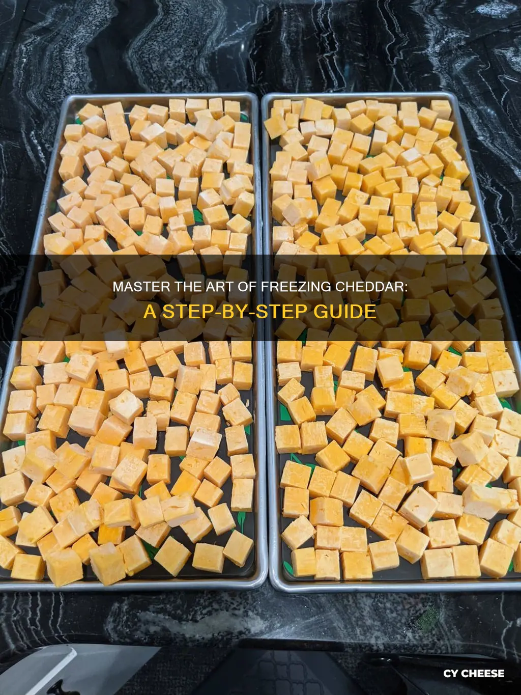 how to freeze dry cheddar cheese