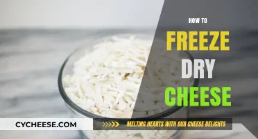 Mastering the Art of Freeze-Drying Cheese: A Step-by-Step Guide