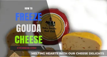 Mastering Gouda Storage: A Simple Guide to Freezing Gouda Cheese